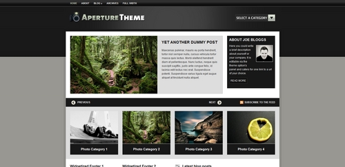 Product picture Aperture Premium Wordpress Theme 
