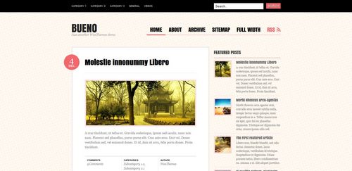 Product picture Bueno Premium Wordpress Theme