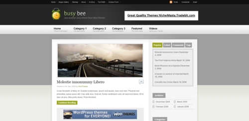 Product picture Busybee Premium Wordpress Theme
