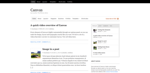 Product picture Canvas Premium Wordpress Theme