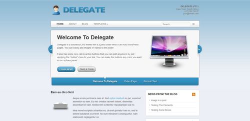 Product picture Premium Wordpress Theme Delegate
