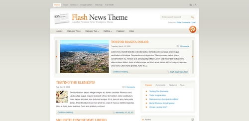 Product picture Premium Wordpress Theme Flashnews