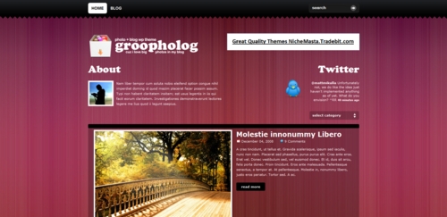 Product picture Premium Wordpress Theme Groovy Photo