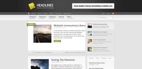 Product picture Premium Wordpress Theme Headlines