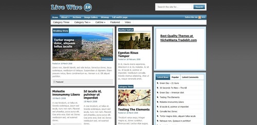 Product picture Premium Wordpress Theme Livewire